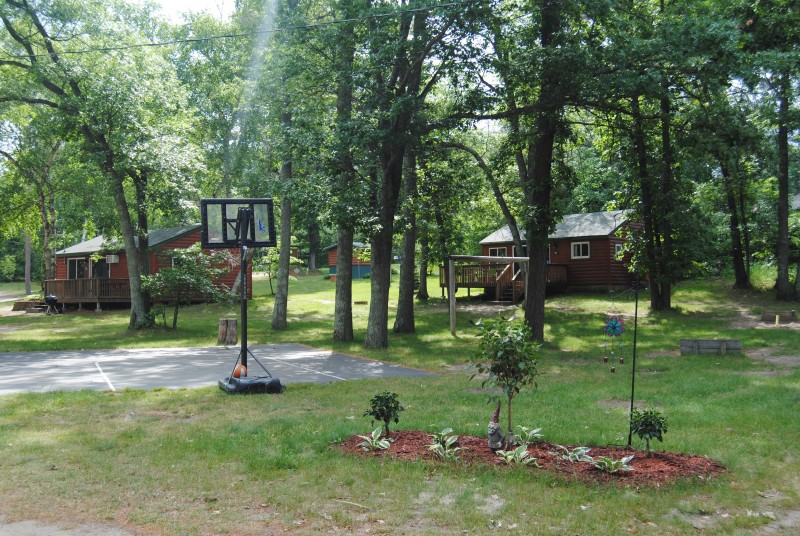 Half basketball court and flowerbed